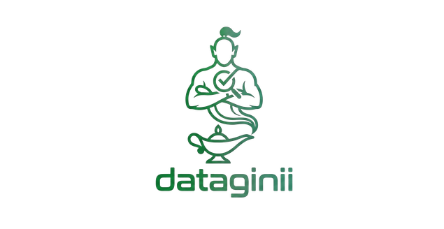 DataGinii